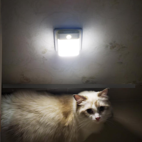 3 1-Pack LED Night Light Plug in, Motion Sensor Night Light with Adjustable Brightness Lighting Mode AUTO/ON/Off