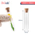 Glass Test Tubes Bulk 50pcs,16ml 20x100mmTest Tube with Cork and Brush, TTGS01A50