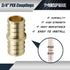PEX Fittings 3/4 Inch, 12-Pack Lead-Free Brass Coupler Crimp Fittings for PEX Pipe Water Lines, Plumbing Projects
