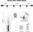 C7 25Ft 27 Bulbs, Christmas Lights, Outdoor Clear Christmas String Lights with Clear Warm White Incandescent Vintage