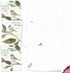 The Best Card Company - 20 Blank Notes with Envelopes, All Occasion Animal Assortment, 10 Designs