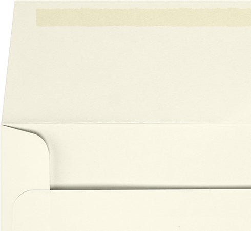 LUXPaper #9 Slimline Invitation Envelopes, 3 7/8" x 8 7/8", Natural, 70lb Text, 50 Qty