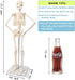 17.7 NEW HORIZON Human Skeleton Model for Anatomy,Movable Arms Legs Bones Structures,Whole Spine Ribs Skeleton