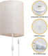 3 Set Plug in Wall Sconce, Color Wall Sconces of Two, Industrial Lamp with Plug in Cord, Rustic Wall Sconce Fixture