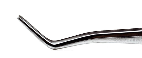 SUPERIOR INSTRUMENTS 16cm Dental Meriam Foil Cotton Tweezer Serrated Angled Beak Dressing Pliers Surgical Forcep