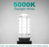 G9 Bulb, 5000K G9 Bulbs 4W, 40W Non-dimmable, 400 T4 10 Pack DiCUNO LED Daylight White, LED Light Equivalent