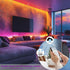 DR04W 3PIN 2.4GHz WR01RF RC03RFB WS2812B WS2811) RGBW SPI SMD COB Addressable LED Strip Tuya WiFi Controller, Support