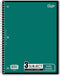 iScholar 3-Subject Wirebound Notebook, 120 Sheets, Wide Ruled, 10.5 x 8-Inches, Cover Color May Vary
