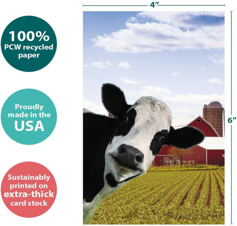 Tree-Free Greetings EcoNotes 12 Count Cow Photobomb All Occasion Notecard Set with Envelopes