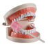 50 Disposable Oral Care Swabs, Unflavored Sterile Sponge Dental Swabsticks (Pink)