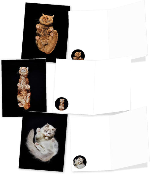 The Best Card Company - 20 Adorable Cat Greeting Cards (4 x 5.12 Inch) - Blank Assortment (10 Designs, 2 Each)