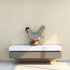 Rivonthex 3D Egg-Laying Chicken Lamp - USB LED Table Light, DIY-Friendly & Compact | Ideal Easter/Birthday Gift