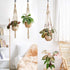 BeneLabel 60 Pack Q-Hanger, Christmas Lights Hanger Hooks, Easy Release Outdoor Wire and Fairy Lights for New Year Party