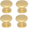 SANCHAKOU Dresser Drawer Pulls 2 Pack Drawer Bedside Cabinet Handle Shoe Cabinet Cabinet
