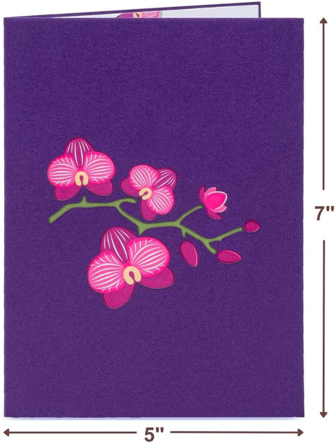 Paper Love 3D Orchids Pop Up Card, Gift for Birthday, Wedding, Anniversary, 5" x 7" Cover with Envelope