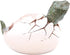 Dinosaur Hatching Out of a Shell Tape Dispenser, Unique Funny Office Supplies Desk Accessory, 4.75 Inches