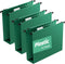 Extra Capacity Plastic Hanging File Folders, 12 Pack Heavy Duty 2 Inch Expansion, Letter Size, Green