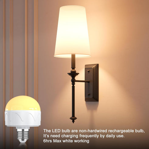 2 Pack Rechargeable Light Bulbs with Remote, E26/E12 Battery Operated, 2200mAh, Color Changing, Timer, Dimmer