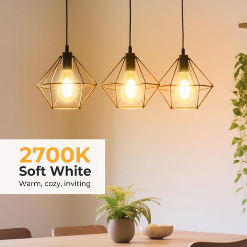 Dimmable Bulbs, 2700K 6W 60 E26 Bulb, ST58 Bulbs, 600LM, 90+ E26 6 Pack GvvooHome Edison Warm White, Equivalent to watt
