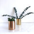 Rose Gold Glossy Stainless Steel Pen Holder, Pencil Cup for Desk Organizers, Makeup Brush Holder, Mini Pot Decor