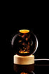 Conalisk 3D Light,16 Light,Dimmable Underwater World Crystal Ball Lamp,Lifelike LED Fish Crystal Night Colors Changing