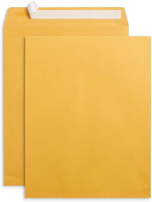 Blue Summit Supplies 100 10” x 13” Catalog Envelopes - Self Seal for Mailing Catalogs, Magazines, Thick Documents
