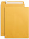 Blue Summit Supplies 100 10” x 13” Catalog Envelopes - Self Seal for Mailing Catalogs, Magazines, Thick Documents
