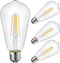 Energetic ST19 Vintage LED Edison Bulbs, 60 Watt Equivalent, Daylight 5000K, CRI 95+, E26 Standard Base, 4 Pack