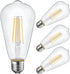 Energetic ST19 Vintage LED Edison Bulbs, 60 Watt Equivalent, Daylight 5000K, CRI 95+, E26 Standard Base, 4 Pack
