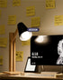 Sunco Lighting 10 Pack A19 LED Light Bulbs, 3W=40W, CRI91 4000K Cool White, 250 Lumens, E26 Medium Base