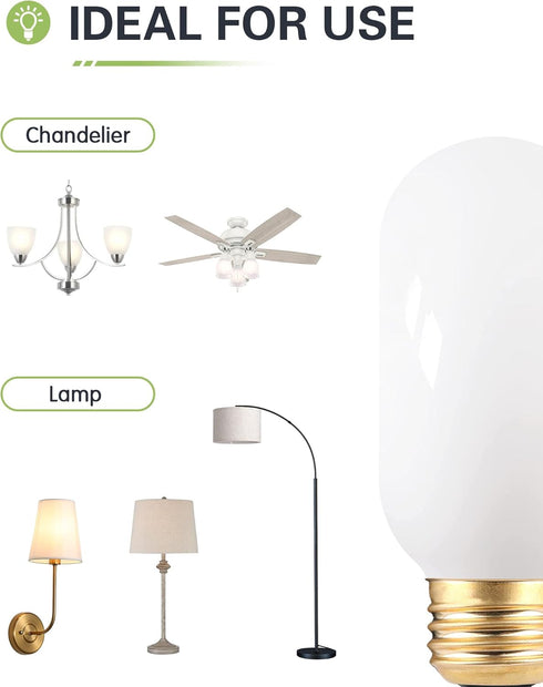 LED Light Bulb, 25W Equivalent, Soft Warm White 2700K, 3 Pack, E26 Base, 2W, Dimmable, T45, 200 Lumen