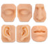 Soft Silicone Mouth Model for Practicing Suture, Flexible Model for Education Display, Rubber Mouth for Teaching