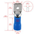 Baomain 1/4" Male Quick Disconnects Vinyl Insulated Spade Wire Connector (100PCS, 16-14AWG, 6.3mm Blue MDD 2-250)