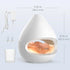 2-in-1 100% 160 mL 16-Hour Pure Enrichment PureGlow Crystal - Himalayan Salt Lamp & Ultrasonic Essential Oil Diffuser
