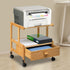 SHIPUNAYE 2 Printer Stand, Tier Small Printer Stand with Rolling Wheel, Heavy Duty Mobile Machine Cart with Organizer