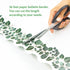 Worldbazaar Eucalyptus Bulletin Board Border, 36ft Greenery Leaves Die-Cut Paper Trim for Farmhouse Classroom Decoration