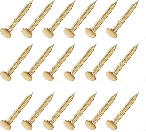 Small Nails (1x10mm) 200pcs, Carbon Steel Tiny Hardware Nails for Household Woodworking, Gold Tone