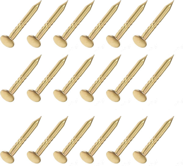 Small Nails (1x10mm) 200pcs, Carbon Steel Tiny Hardware Nails for Household Woodworking, Gold Tone