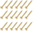 Small Nails (1x10mm) 200pcs, Carbon Steel Tiny Hardware Nails for Household Woodworking, Gold Tone