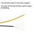 50pcs 12 Volt 5mm Red Blinking LED Lights, Pre Wired DC 12v Emitting Diodes for Flashing Effects