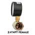 Solimeta Economical Gas Test Pressure Gauge, 2" 0-30 PSI