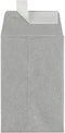 LUXPaper #4 Coin Envelopes | 3'' x 4 1/2'' | Silver Metallic | 80lb. Text | 50 Quantity