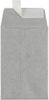LUXPaper #4 Coin Envelopes | 3'' x 4 1/2'' | Silver Metallic | 80lb. Text | 50 Quantity
