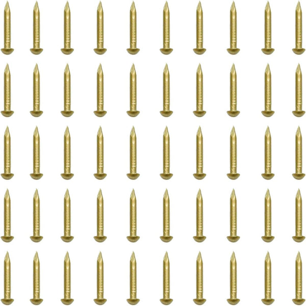 RZDEAL 100 PCS Round Head Brass Nails, 0.08'' x 0.79'' for Craft Projects