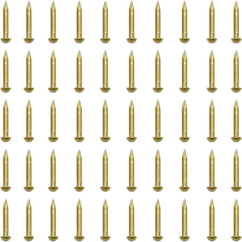 RZDEAL 100 PCS Round Head Brass Nails, 0.08'' x 0.6'' for Craft Projects