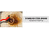 3pcs Small Stainless Steel Wire Brushes Set for Cleaning and Rust Removal