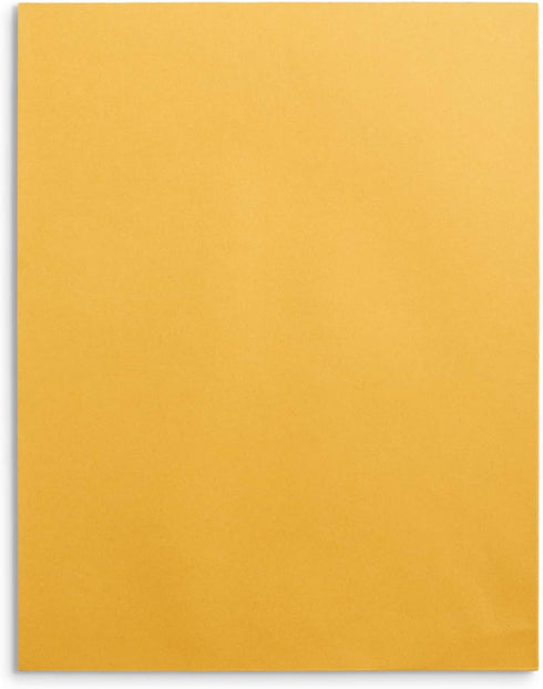 Blue Summit Supplies 100 10” x 13” Catalog Envelopes - Self Seal for Mailing Catalogs, Magazines, Thick Documents
