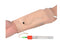 Aylashine IV & Venous Blood Drawing Practice Kit, Practice and Perfect venipuncture