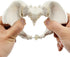 Pelvis Model - Flexible Female Pelvis Anatomy Model Human Skeleton Model 1:2