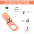 Copper Wire Lugs Terminal Connectors, Used on AWG12 10 8 6 4 2 Cable, 30Pcs Battery Cable Lugs Ends and Heat Shrink